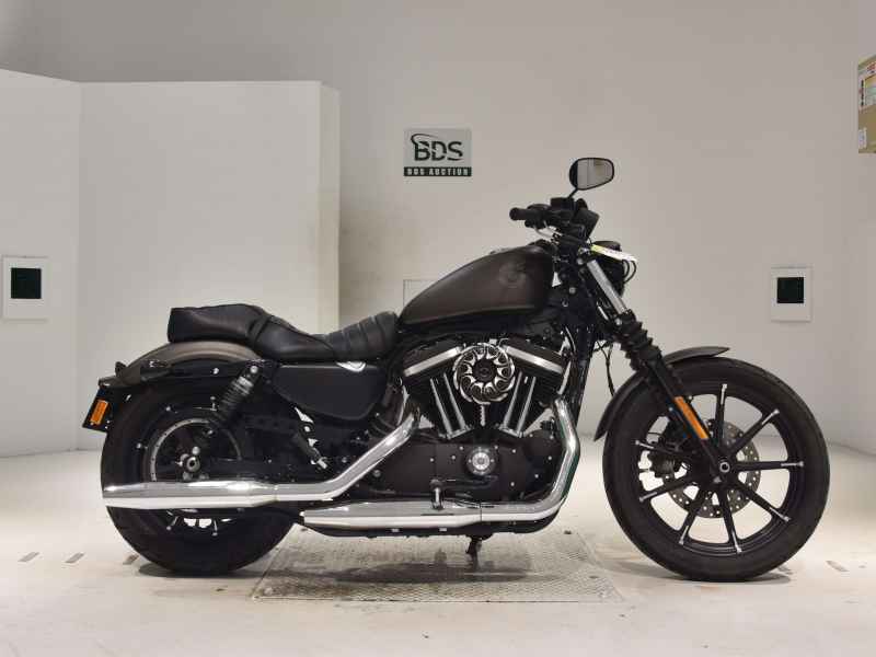 Harley-Davidson XL883N 2021