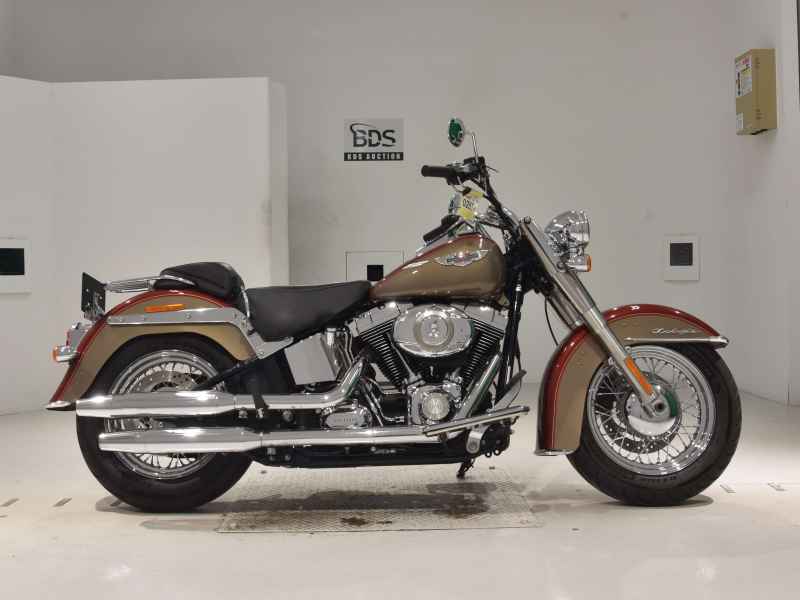 Harley-Davidson FLSTN1580 2009