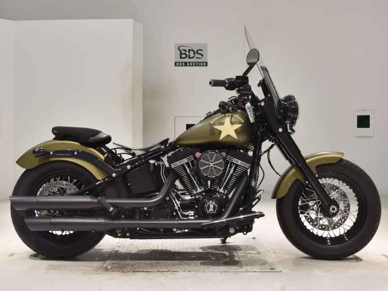 Harley-Davidson FLSS1800 2015