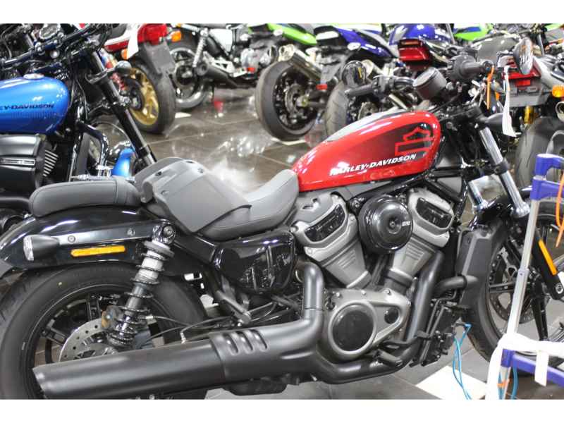 Harley-Davidson RH975 NIGHT STAR 2023