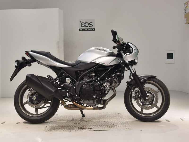 Suzuki SV650X 2024