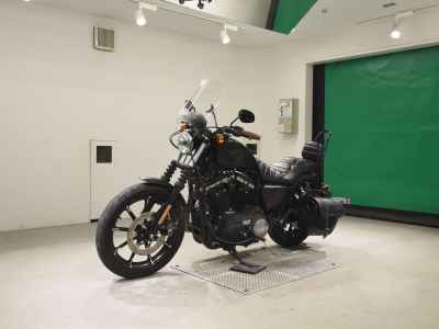 Harley-Davidson XL883N 2015