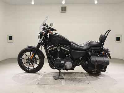 Harley-Davidson XL883N 2015