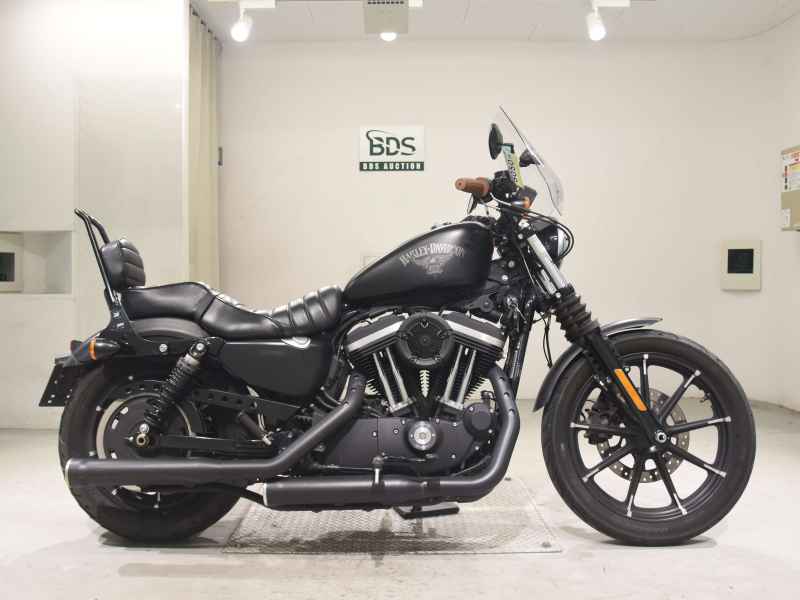 Harley-Davidson XL883N 2015