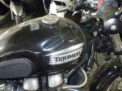 Triumph Thruxton 2010