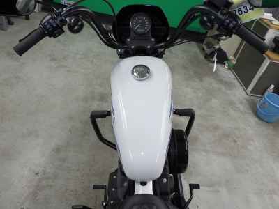 Harley-Davidson XL1200NS 2021