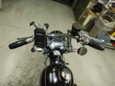 Harley-Davidson XL883C 2005