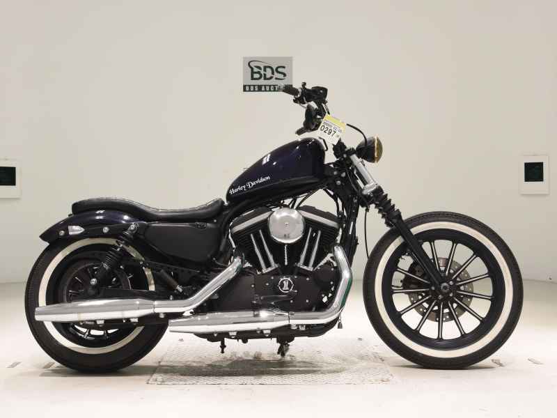 Harley-Davidson XL883N 2010