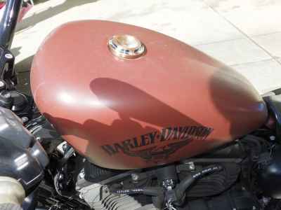 Harley-Davidson XL883N 2017