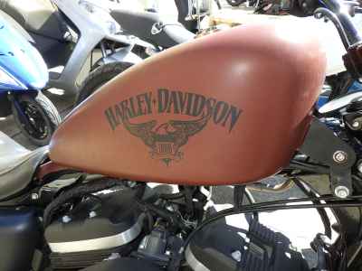 Harley-Davidson XL883N 2017