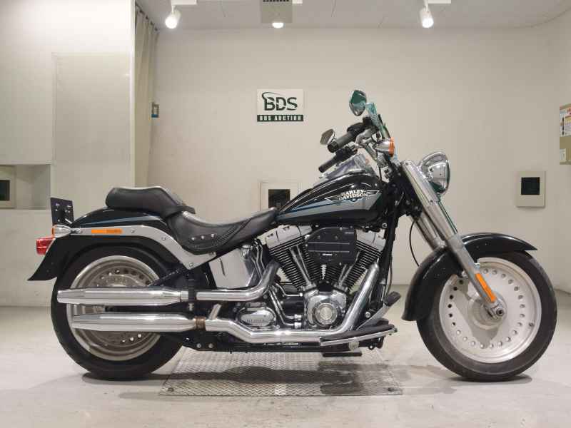 Harley-Davidson FLSTF1580 2009