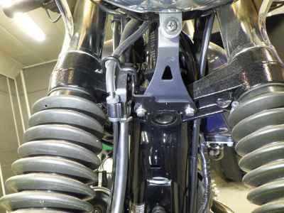 Kawasaki W800 2022