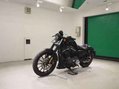 Harley-Davidson XL883N 2015