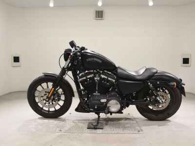 Harley-Davidson XL883N 2015