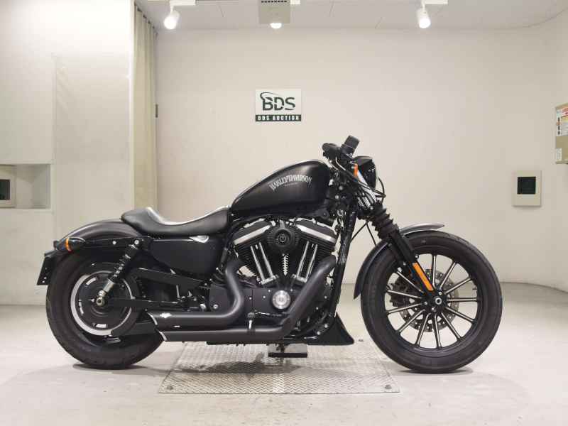 Harley-Davidson XL883N 2015