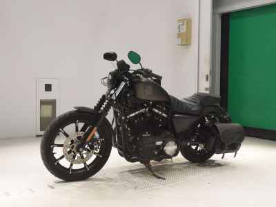 Harley-Davidson XL883N 2021