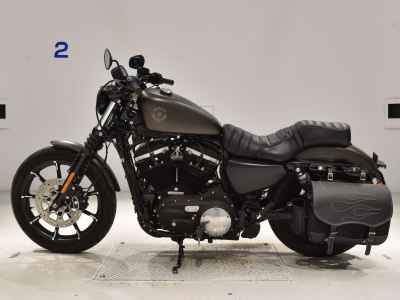 Harley-Davidson XL883N 2021