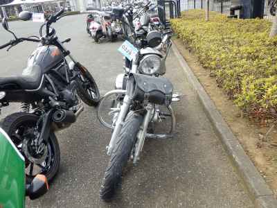 Harley-Davidson XL883L 2009