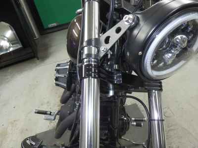 Harley-Davidson FXDL1450 2001