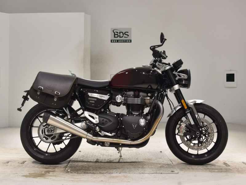 Triumph Speed Twin 2024