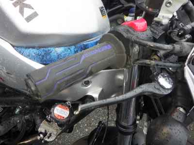 Suzuki SV650X 2024