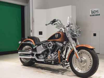 Harley-Davidson FLSTF1580 2008