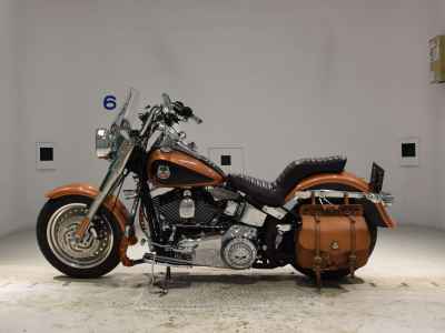 Harley-Davidson FLSTF1580 2008