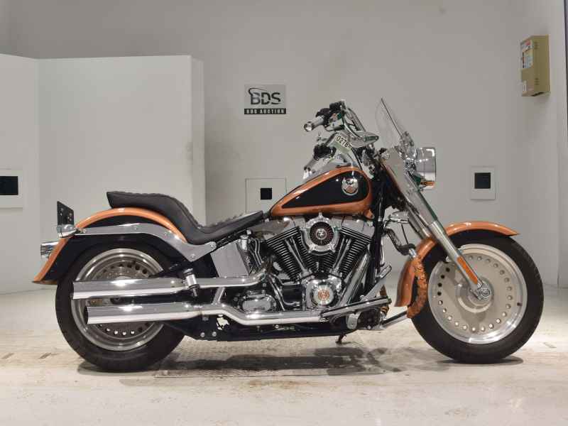 Harley-Davidson FLSTF1580 2008