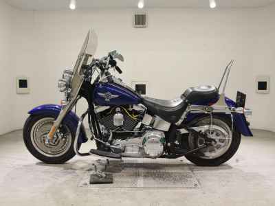 Harley-Davidson FLSTF1450 2006