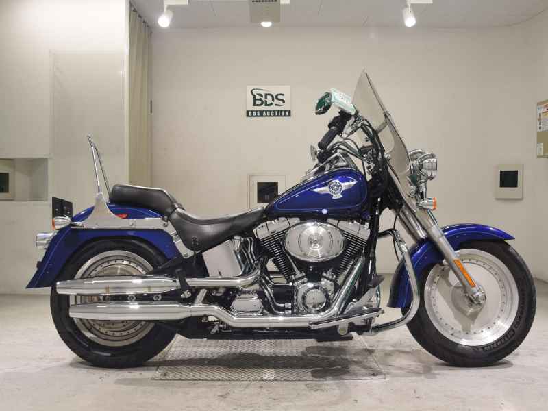 Harley-Davidson FLSTF1450 2006