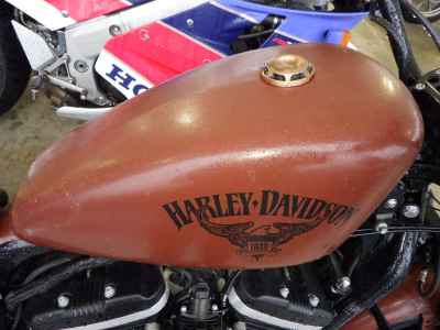 Harley-Davidson XL883N 2017