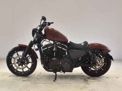 Harley-Davidson XL883N 2017