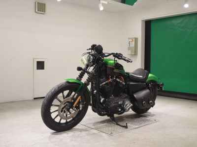 Harley-Davidson XL883N 2016