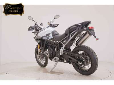 Triumph Tiger 900 Rally Pro 2026