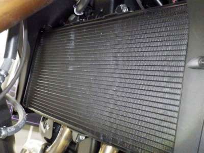 Honda NT1100 DCT 2026